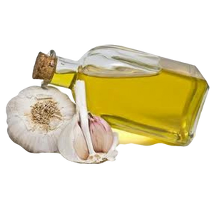 Garlic.png
