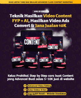 Level Up Content - MINI
